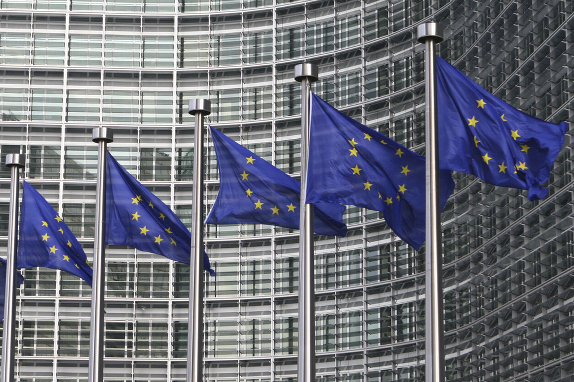 Sustainability: B Corps call on Italy to support EU directive