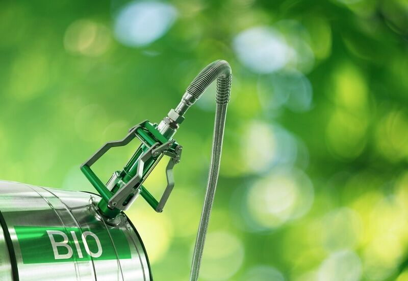 Biofuels e transizione ecologica: una riflessione necessaria