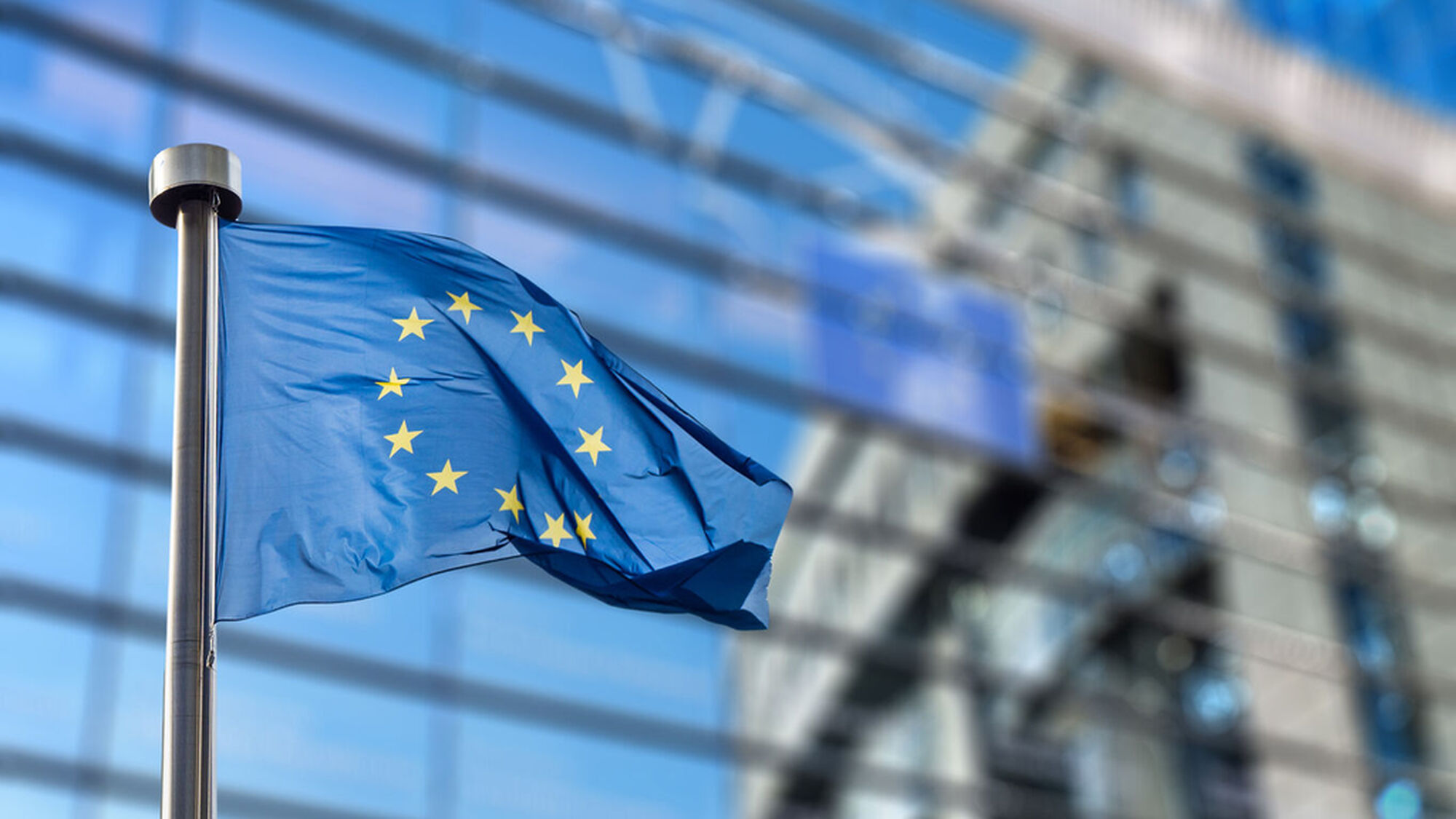 Sustainability rules in the European Union: a statement